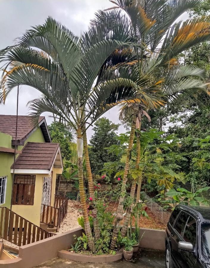 Gables Vacation Rentals With Private Gated Parking Onsite Knockpatrick エクステリア 写真