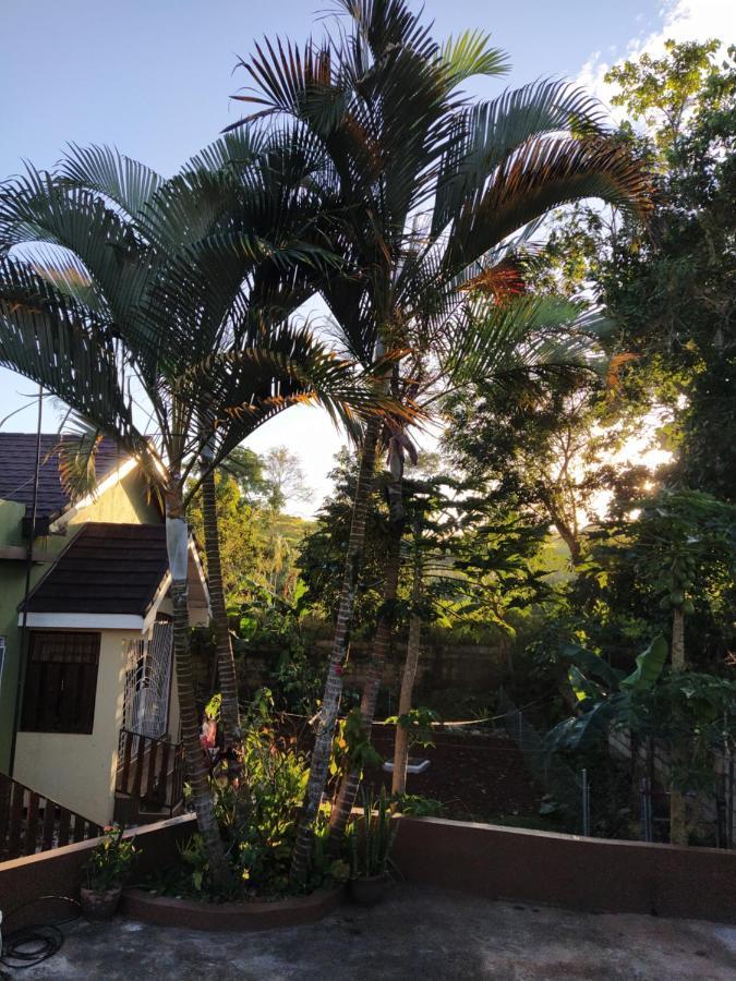 Gables Vacation Rentals With Private Gated Parking Onsite Knockpatrick エクステリア 写真